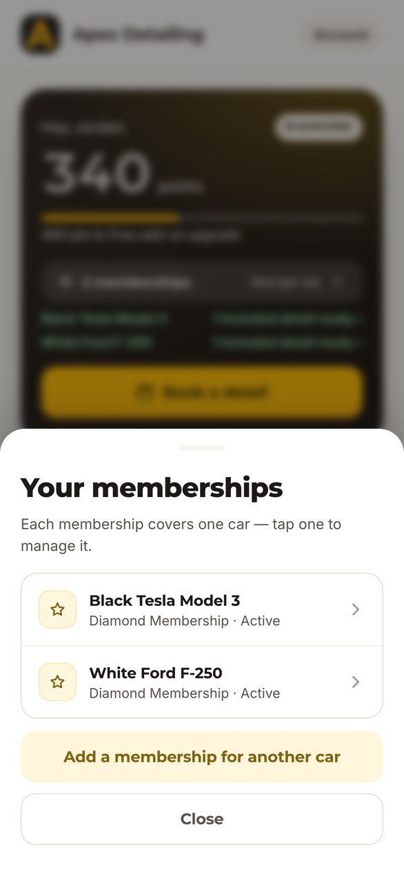 A customer's memberships: two cars, both on an active monthly plan.